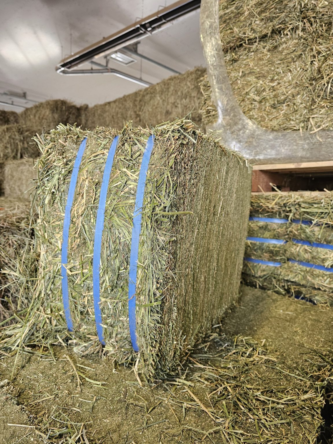 Orchard/Alfalfa Compressed Bale - Hay Sales - Academy Farms